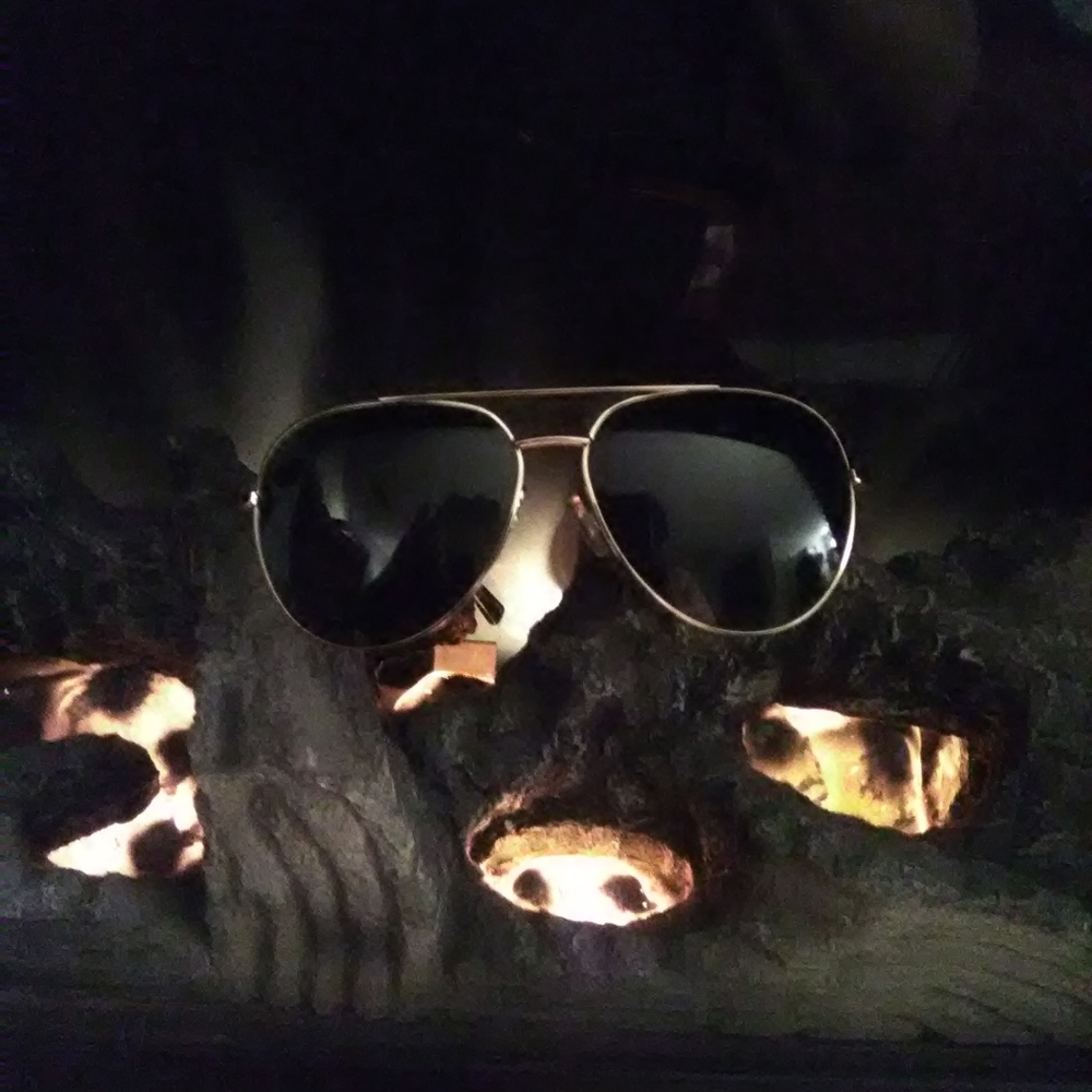 Women's Michael Kors sunglasses - Picture 6 of 6
